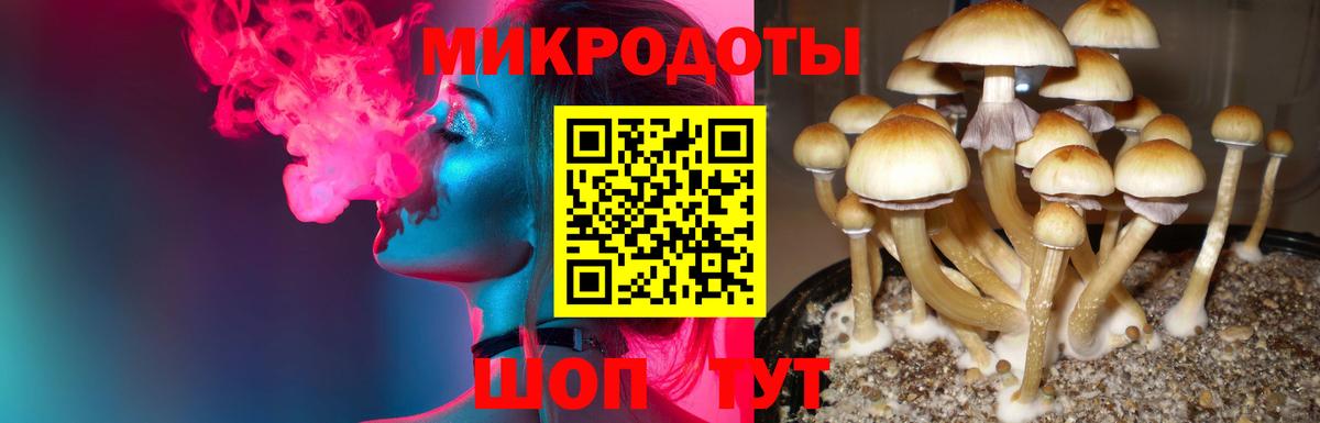 Галлюциногенные грибы GOLDEN TEACHER  Вход с VPN  где найти   Галлюциногенные грибы Magic Shrooms  Владимир 